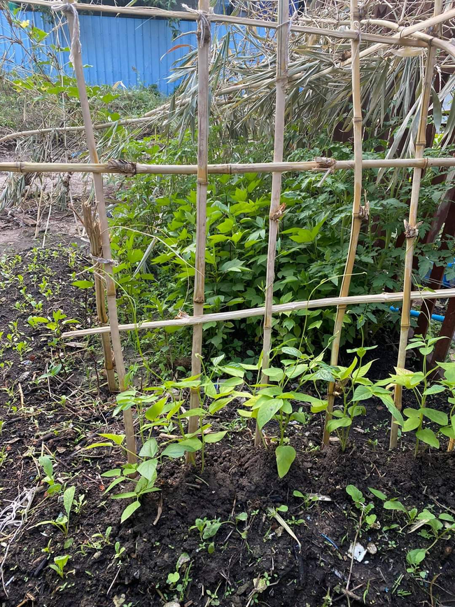 Photo Credit:Melody Myo's Facebook Account