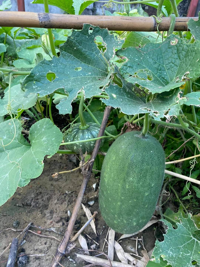 Photo Credit:Melody Myo's Facebook Account