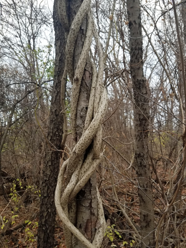 Photo Credit – From Google