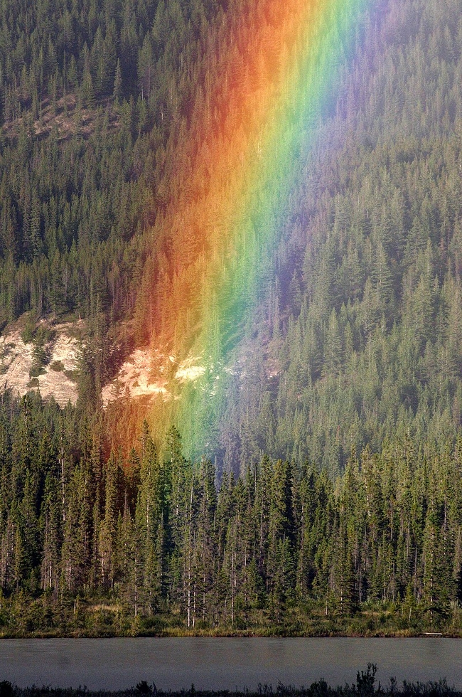 Photo Credit – From Google