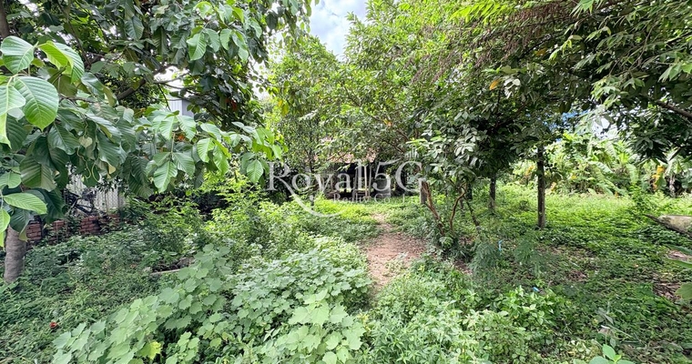 Land For Sale Kien Svay