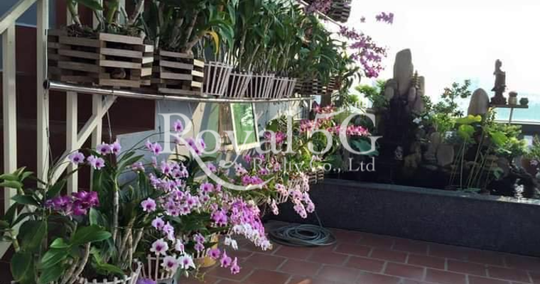 Building For Sale or Rent Sangkat Toul Tumpoung1 Khan Chamkarmon