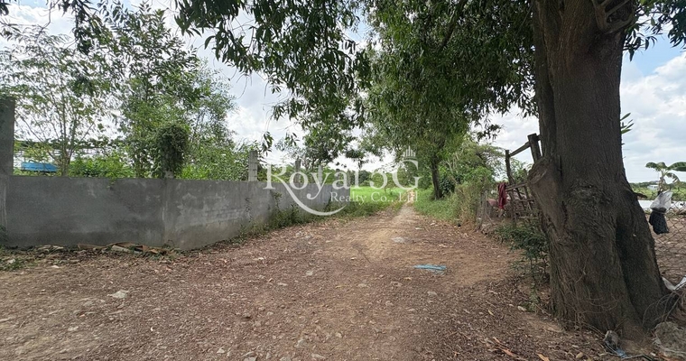 Land For Sale sangkat Kompong Somnanh Krong Takhmau