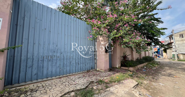 ដីសម្រាប់លក់ ដង្កោ ចម្ការដូង