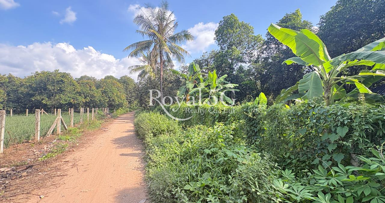 Land For Sale at Krong Areyksat Kandal Province