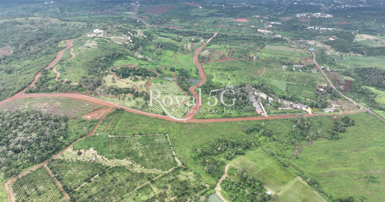 ដីសម្រាប់លក់នៅក្រុងសែនមនោរម្យ ខេត្តមណ្ឌលគិរី