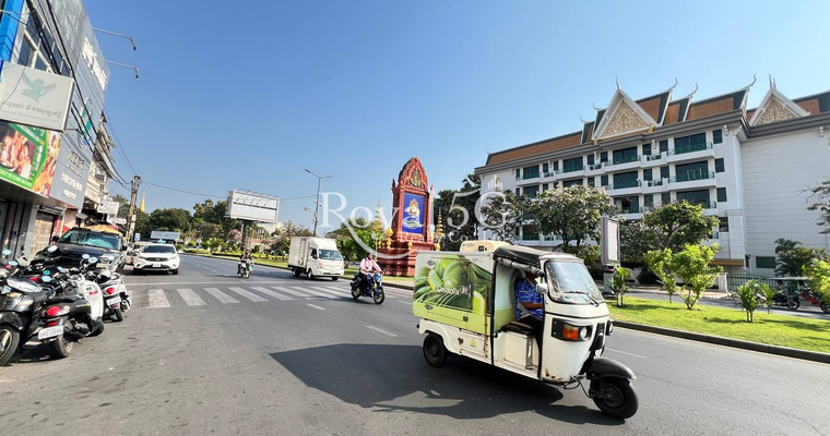 House For Rent- Daun Penh