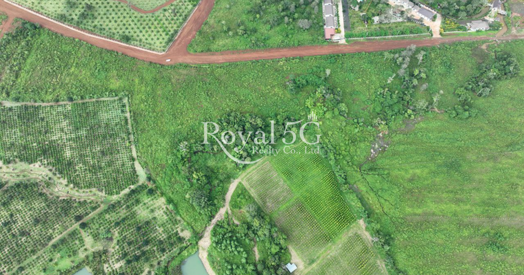 ដីសម្រាប់លក់នៅក្រុងសែនមនោរម្យ ខេត្តមណ្ឌលគិរី