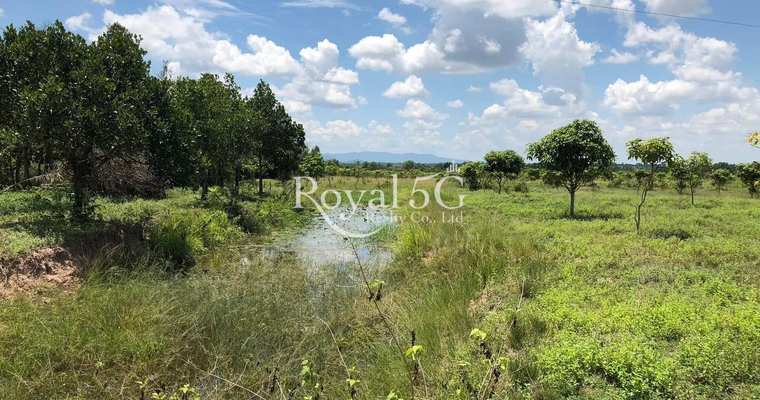 ដីសម្រាប់លក់នៅស្រុកភ្នំស្រួច ខេត្តកំពង់ស្ពឺ