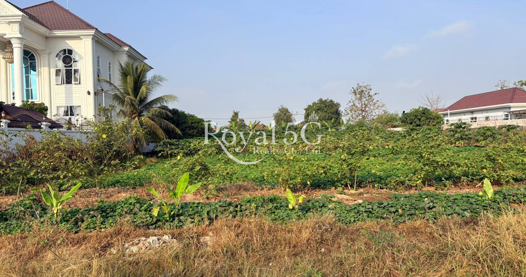 Land For Sale Sangkat Kompong Somnanh Krong Takhmau