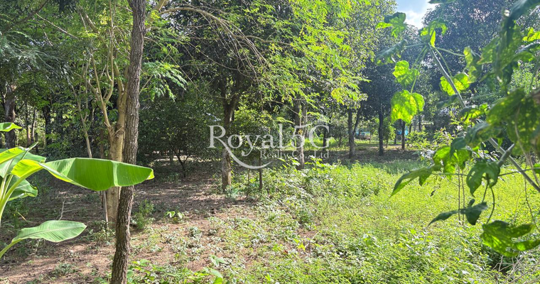 Land For Sale at Krong Areyksat Kandal Province