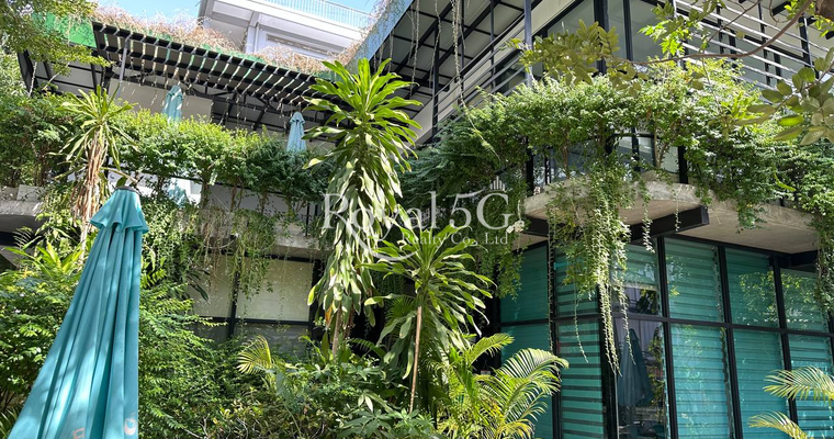 Land For Rent Sangkat Phsar Dermtkhov Khan Chamkarmon