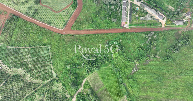 ដីសម្រាប់លក់នៅក្រុងសែនមនោរម្យ ខេត្តមណ្ឌលគិរី