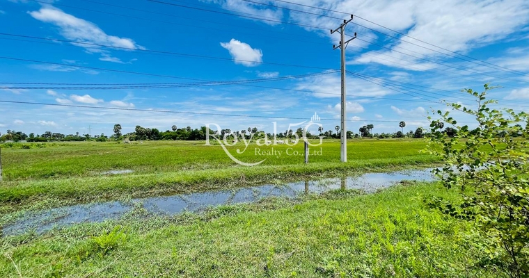 LAND FOR SALE - Samraong Tong