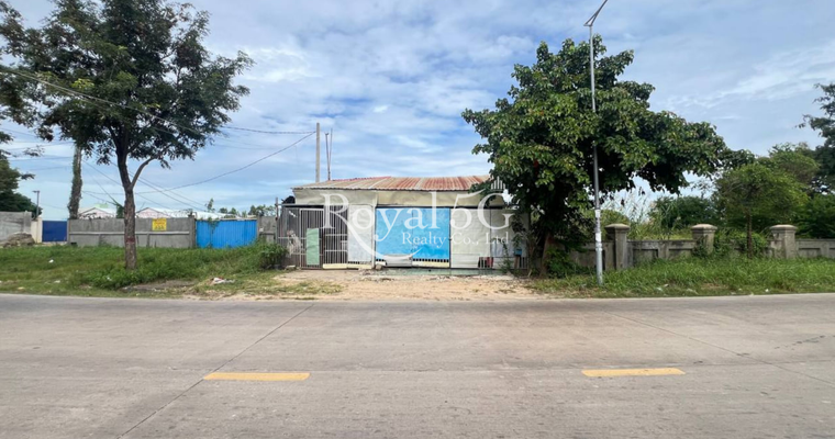 ដីសម្រាប់លក់នៅផ្លួវ1800