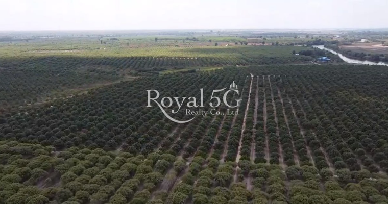 Land For Sale Kompong Thom Province