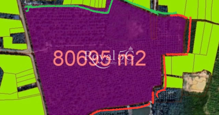 Land For Sale and Rent Srok Ksach Kandal