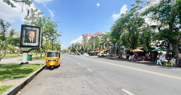 House For Rent- Daun Penh