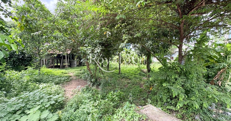 Land For Sale Kien Svay