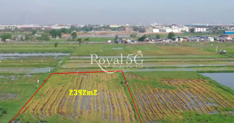 Land for rent at dangkor