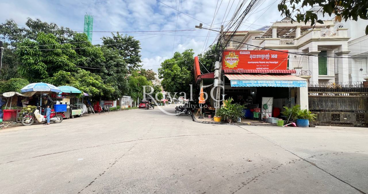 ដីសម្រាប់លក់​​ ភ្នំពេញថ្មី
