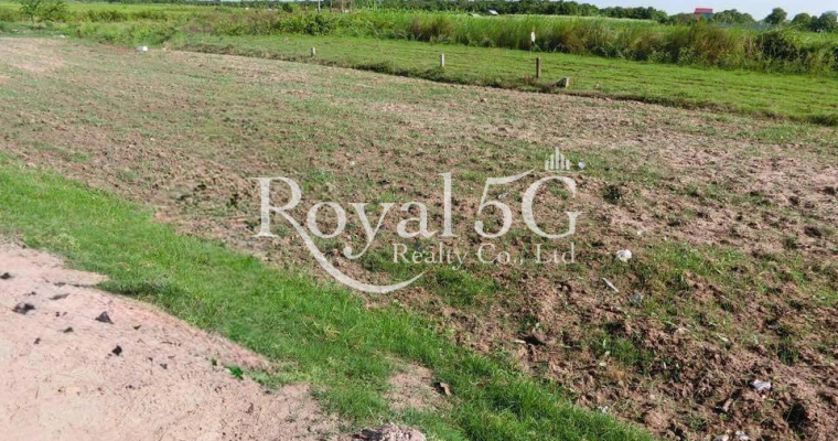 Land for sale in a developing area, land size ➡️ 49+15 = 801m² 📍 Location: Kandal Province.