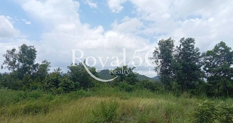 ‼️Urgent land for sale on National Road No. 4 (Kampong Seila). The front of the land faces National Road 4, and the back touches Kampong Seila Creek! Great location for opening a resort or vacation home…