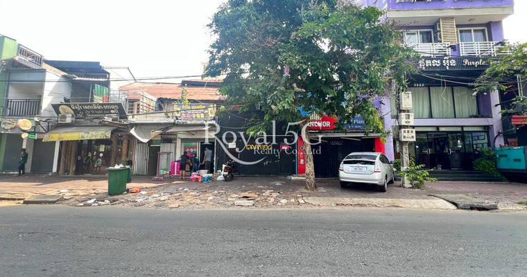 House For Rent-  Daun Penh