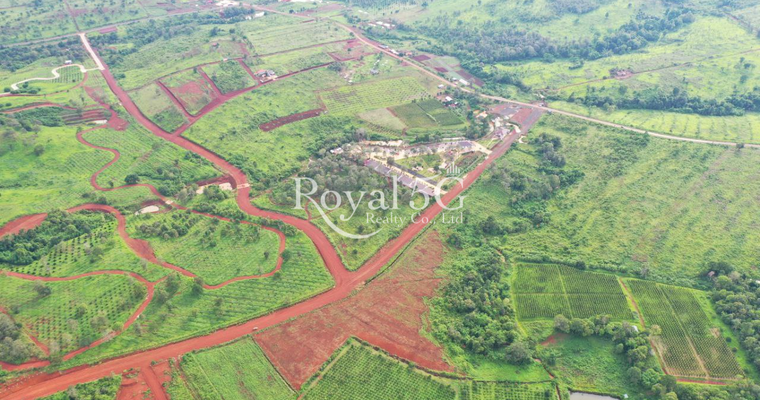 ដីសម្រាប់លក់នៅក្រុងសែនមនោរម្យ ខេត្តមណ្ឌលគិរី