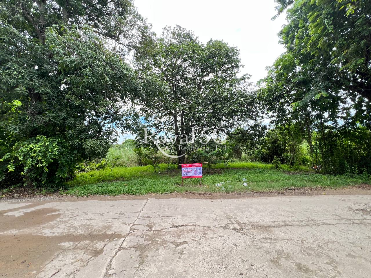 ដីលក់បន្ទាន់ សង្កាត់វាលស្បូវ ខណ្ឌច្បារអំពៅ (9)